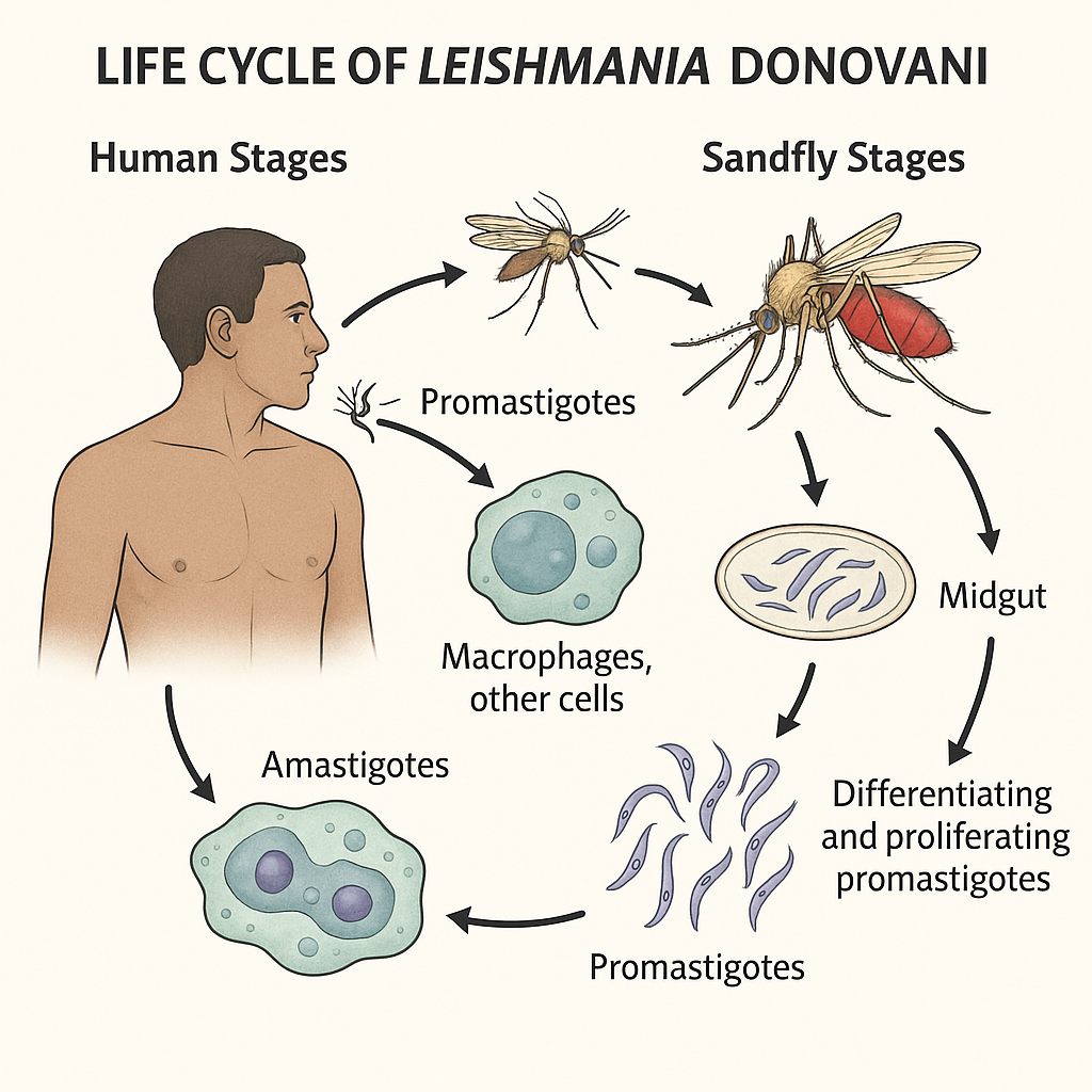 Chatgpt Image Jul 12, 2025, 12 40 27 Am Wallpaper HD Download 2026