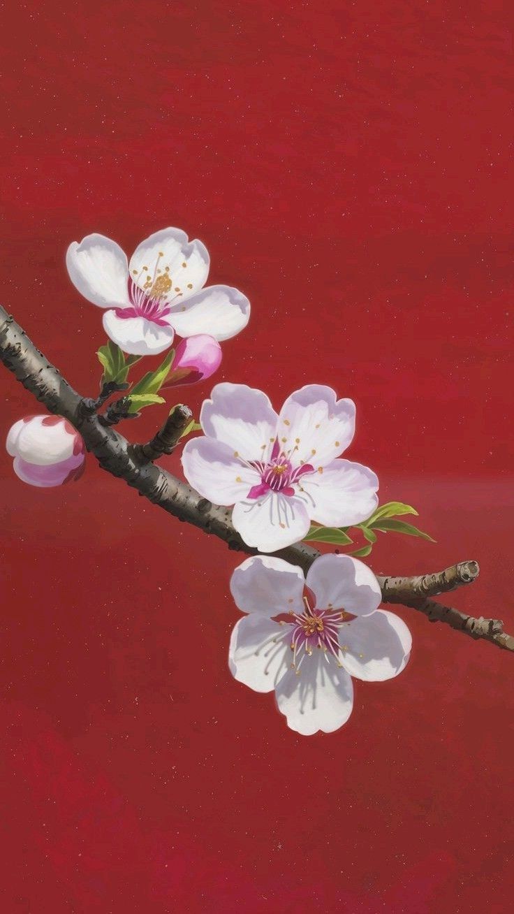 Flower Wallpaper Wallpaper HD Download 2026